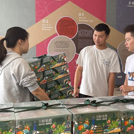 Zhantai in Exhibitions